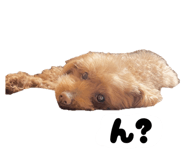 785529209