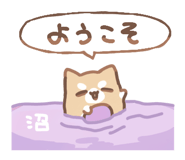 785558604