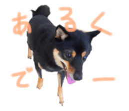 785594701