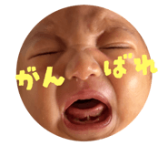 785601834