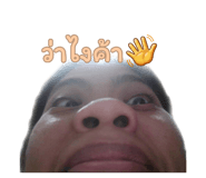 785620913