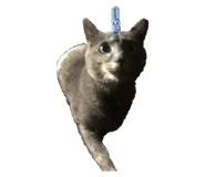 785640609