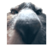 785640632