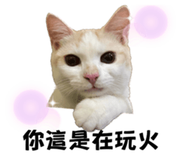 785656576
