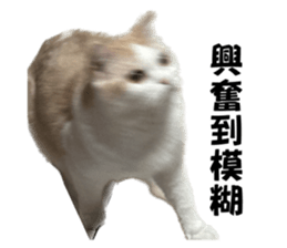 785656597