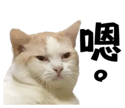 785656603