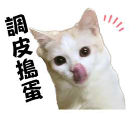 785656605