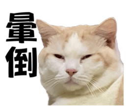 785656606