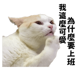 785656608