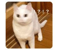 785668665