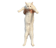 785668671