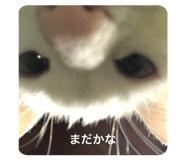 785668679