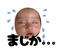 785669395