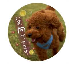 785687709