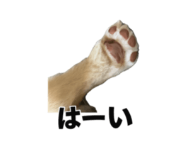 785689579