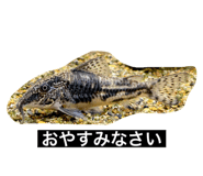 785689690
