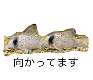 785689692