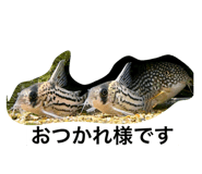 785689696