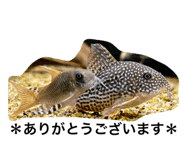 785689697