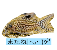 785689699