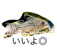 785689708