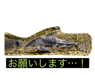 785689709