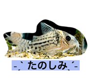 785689716