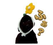 785697085