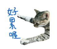 785700913