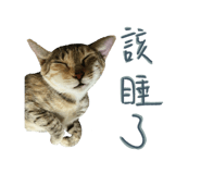 785700914
