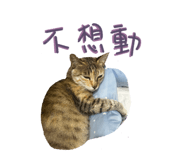 785700916