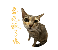 785700917