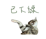 785700919