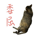 785700920