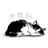 785731147