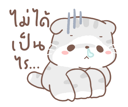 เหมียวขอ เลิฟลี่เดย์ รูปที่ 17