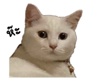 785752923