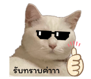 785752936