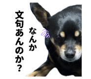 785769584