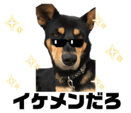 785769585