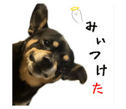 785769591