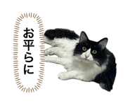 785776953