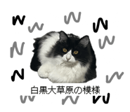 785776965