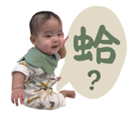 785795500