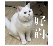 785816400