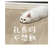 785816408