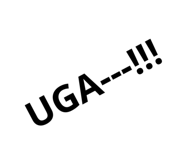 785816626
