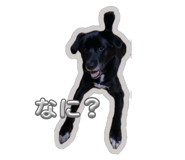 785822550