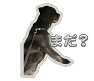 785822552