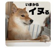 785825963